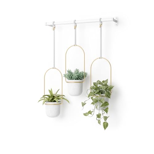 Umbra Triflora Hanging Planter for Window Indoor Herb Garden Set of 3 WhiteBrass - Image 1