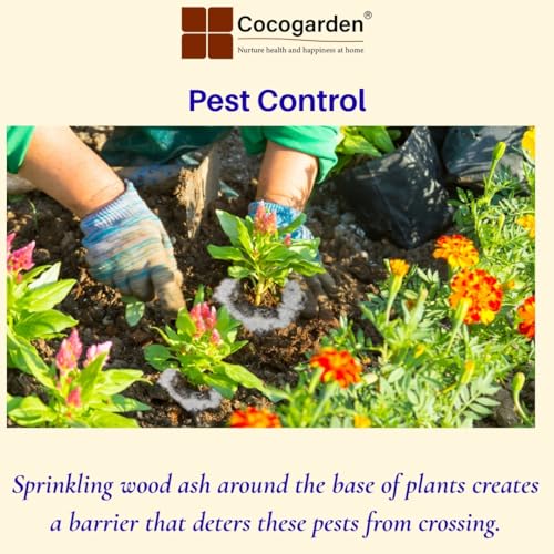 Cocogarden Wood Ash Powder Bio Organic Potash Fertilizer for Plants, 900 gms - Image 5