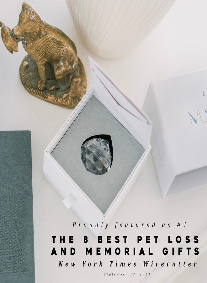 Memorialight Pet Memorial Gift - Unique Sympathy Gift for Loss of Dog & Cat, Modern Bereavement Gift for Daily Remembrance, Pet Loss Gift, 40mm Crystal Ornament Rainbow Maker & Paw Print Keepsake Card - Image 2