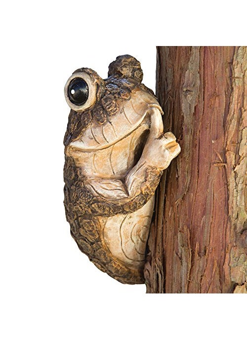 Bits and Pieces Bits and Pieces Keep Quiet Frog Tree Peeker  Adorable Tree Sculpture  Garden Decoration  Yard Art 