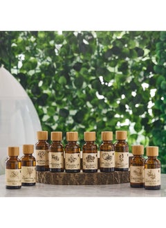 Home Box Seyna Geranium Aroma Oil 30 ml  - Image 3