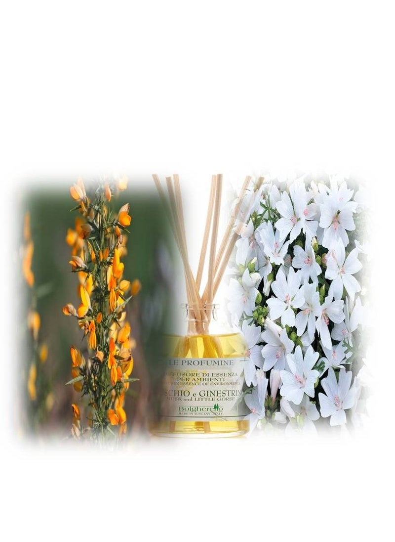 Musk and little gorse home perfume oil fragrance 100ml