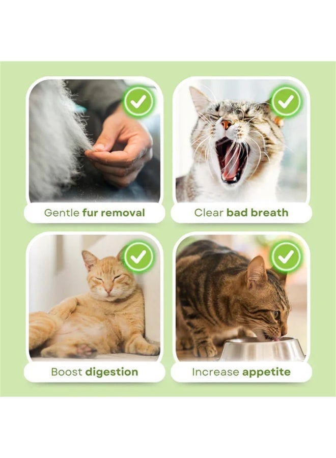 Altheqa 12 Grass Sticks Cat Freeze-dry Teeth Stick, Cat Grass Teething Stick, Catnip Cats Grass Toys, Edible Cats Chew Stick for Increase Appetite, Hairball Removal, Teeth Cleaning(2 Bags) - Image 4