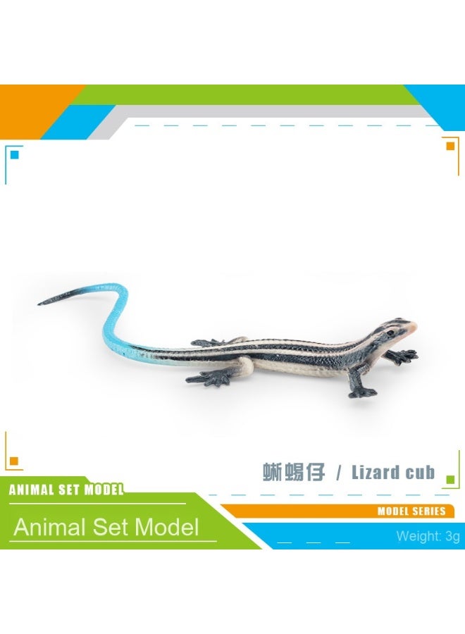 NIBEMINENT Realistic Amphibious Reptile Model - Unique Static Decorative Piece