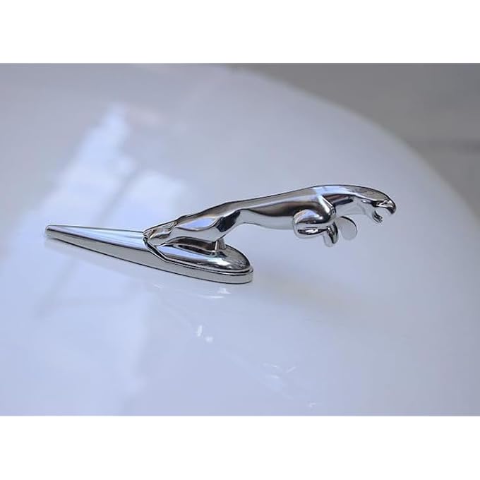 For Jaguar 3D Emblem Car Logo Front Vehicle Hood Ornament Cover Chrome Eagle Badge Accessories For Jaguar Xf Xj Xe Xk Xkr Xfl Xjs E Accessories - Image 3