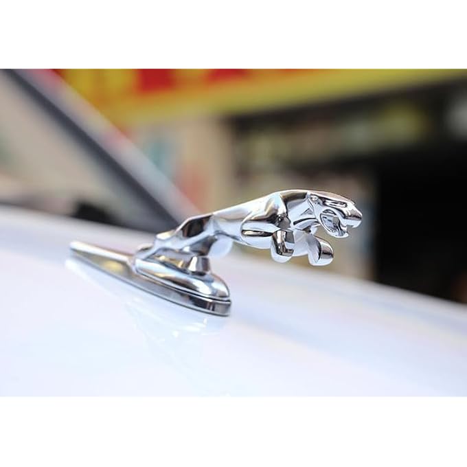 For Jaguar 3D Emblem Car Logo Front Vehicle Hood Ornament Cover Chrome Eagle Badge Accessories For Jaguar Xf Xj Xe Xk Xkr Xfl Xjs E Accessories - Image 4