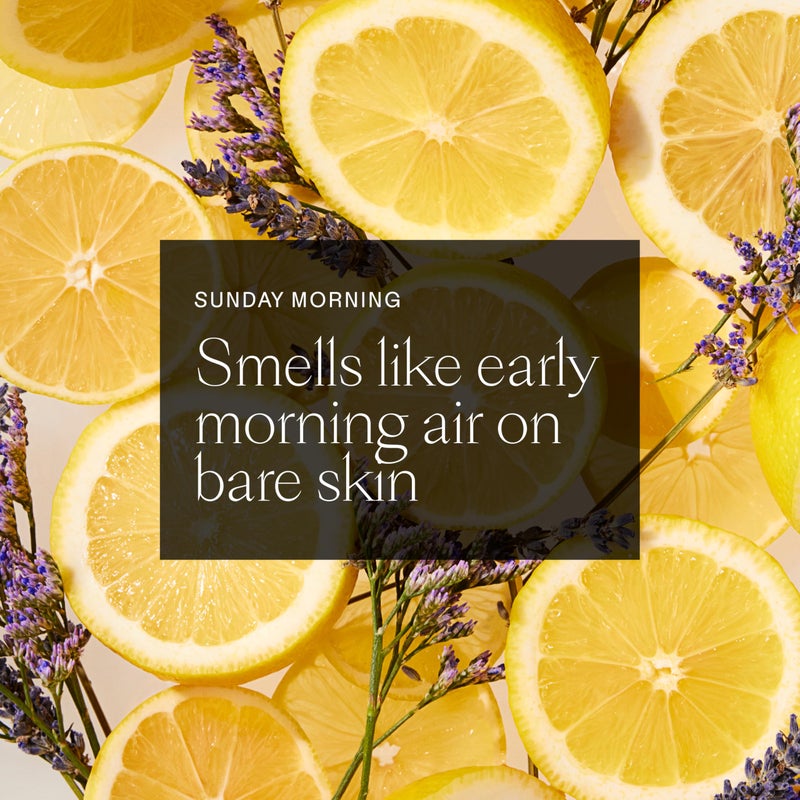 Each & Every مزيل العرق خالي من الألمنيوم للنساء والرجال - مزيل عرق طبيعي بالكامل للبشرة الحساسة، معتمد من EWG - نظيف، خالي من بيكربونات الصوديوم، عطر نباتي، لافندر وليمون، 2.5 أونصة - Image 5