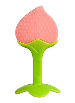 La Frutta Silicone Teether for Babies- Multicolor - pzsku/Z05A6A3D7619CDE9FAE40Z/45/_/1739377714/a6364182-3217-4412-91cf-077616097b51