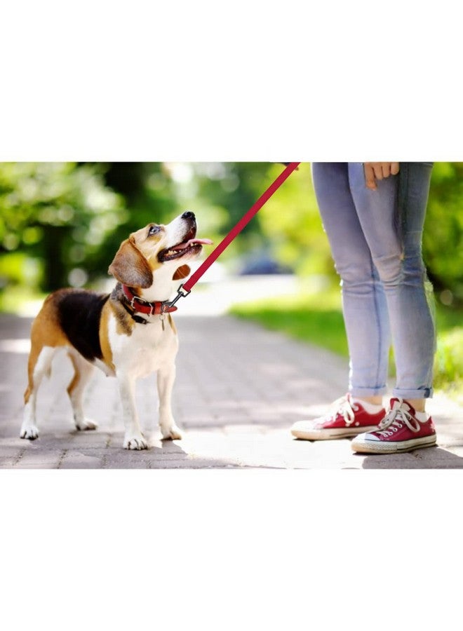 Classic Lead | Nylon Adjustable Dog Lead With Stainless Steel Hooks |Padded Loop Gives A Comfortable Grip - (4 Ft./15 Mm, Xs-S) Red (Pack Of 4)