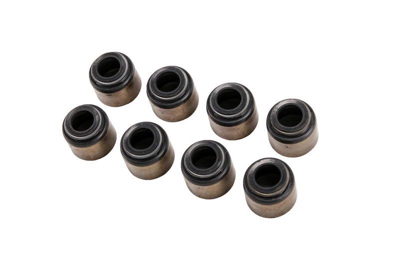 GM Genuine Parts 12533586 Intake Valve Stem Oil Seal Kit