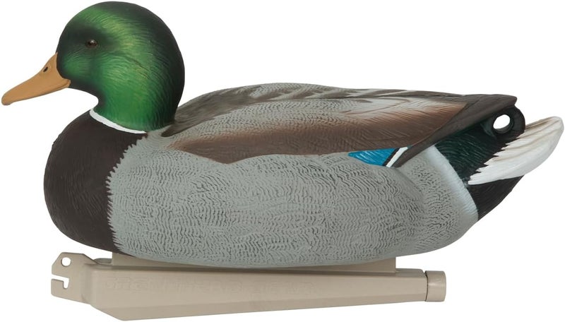 AVERY طائر مالارد دكوبس الأساسي من GHG - عبوة 12 - Image 3