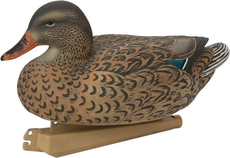 AVERY طائر مالارد دكوبس الأساسي من GHG - عبوة 12 - Image 5