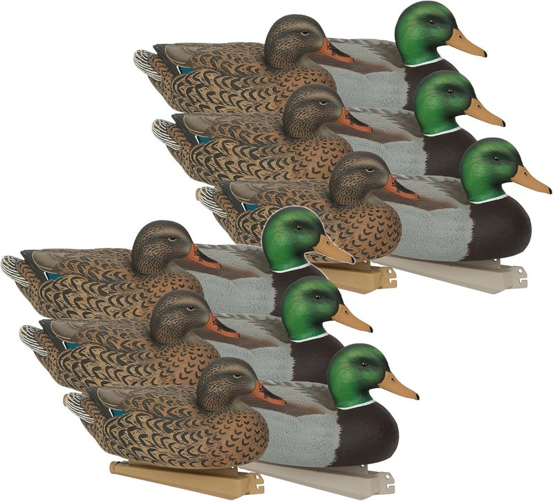 AVERY طائر مالارد دكوبس الأساسي من GHG - عبوة 12 - Image 1