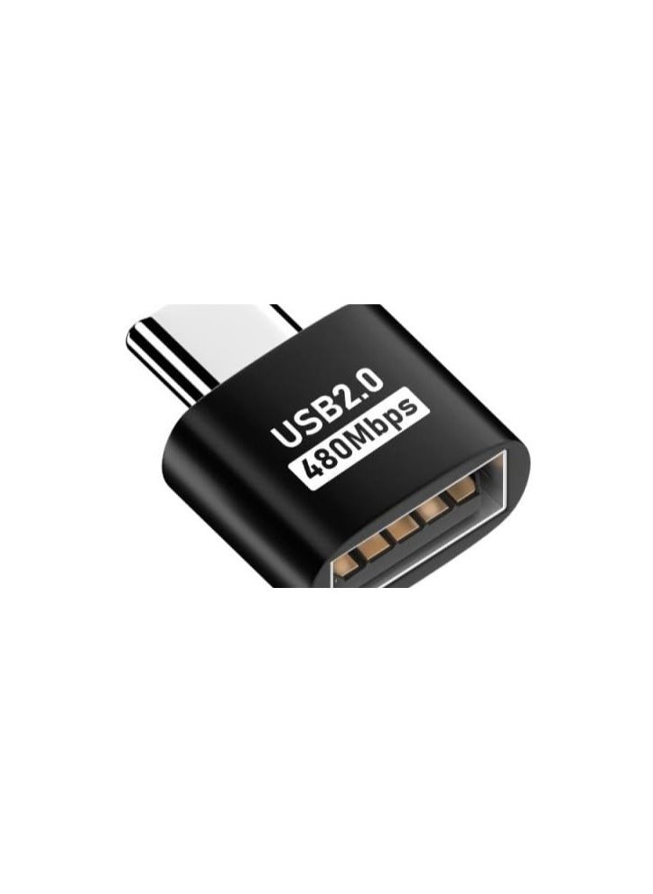 erorex USB 2.0 480 Mbps USB Type A to USB Type C Adapter (Pack of 2), Black 