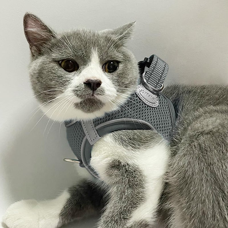 Joytale Small Dog Harness, Breathable Mesh Step-in Vest, Reflective Soft Padded Harnesses for Cats and Puppies Dogs, Gray, XXXS - Image 2