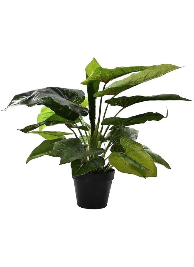Generic Nearly Natural Real Touch Artificial Calla Plant Fake Leave 65X65X50 Cm Green-Brown  - Image 1