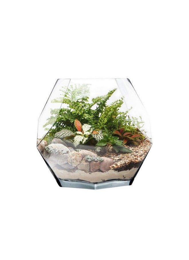 CYS EXCEL 7" Clear Glass Geometric Terrarium Bowl ; Prism Honeycomb Plant Vase ; Hexagon Design Candle Holder Container  - Image 4