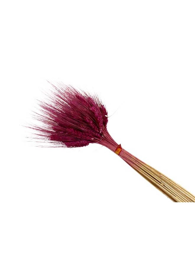 Generic Dried Wheat Flowers Sheaves Grass Bouquet (40Pieces)  - Image 3