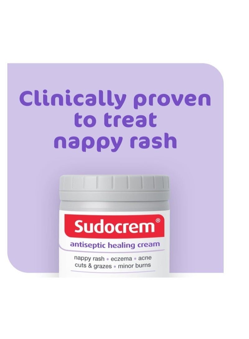Sudocrem Antiseptic Healing Cream To Protect Rash And Surface Wound - 250g - Image 4