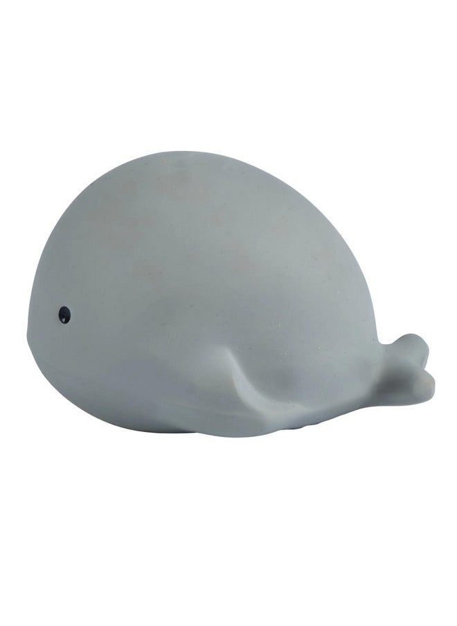 Tikiri Toys Ocean Buddies Whale Natural Rubber Rattle (Gray) - pzsku/Z05AA2D906ACA184EE557Z/45/_/1737031597/e5f603b6-8e82-4deb-957e-f790a294a02a