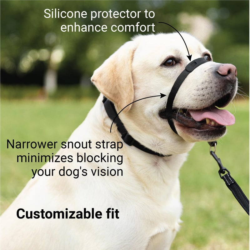 SVD.PET No-Pull Dog Headcollar for Easier Walks, Chew-Proof Protector to Increase Comfort, Simple Design, Easy to Wear and Adjust (Medium Size for Small and Medium Size Dogs, Pink) - Image 3
