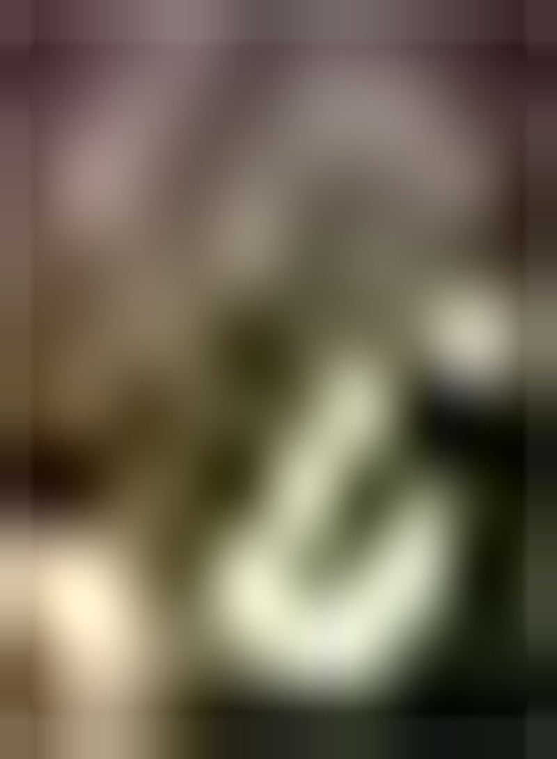 جي جوت 300Stück Spinatsamen Hausgarten Pflanzen im Freien gentechnikfreies Erbstück Gemüse Family Gartenarbeit Schnell wachsend geeignet for Anfänger - Image 2