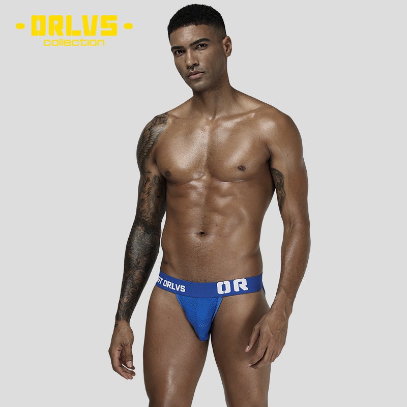 ORLVS New Summer Men's Briefs - Breathable Mesh, Comfortable, No Side  Wings - Image 5