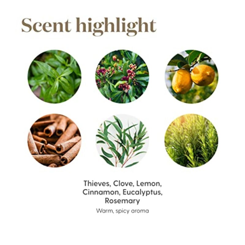 Young Living Thieves Household Cleaner 14.4 oz, Plant-Based All-Purpose Cleaner with Essential Oils, Safe for Floors, Mirrors, Carpets & Pet Areas - Image 5