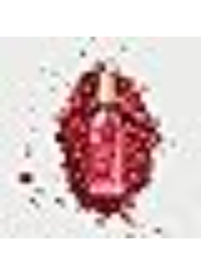 Melvita L’Or Rose Super-Activated Firming Oil 50ml - Image 2