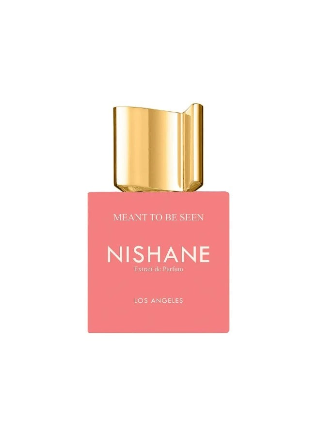 Nishane Meant To Be Seen Extrait de Parfum 100 ml - Image 1