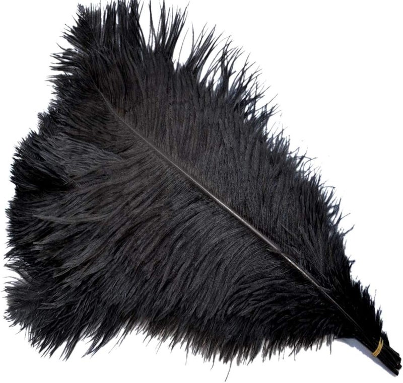 Sowder 5pcs Ostrich Feathers 16-18inch(40-45cm) Home Wedding Decoration(Black) - Image 1