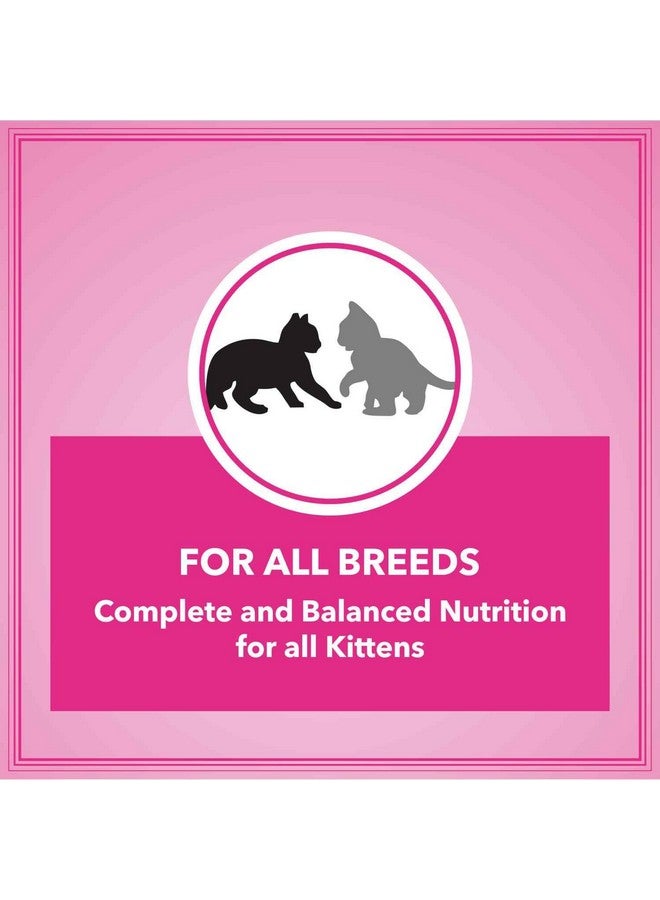 Let's Bite Active Kitten Dry Cat Food 1kg (Buy 1 Get 1 Free), Total 2kg Pack - Image 4