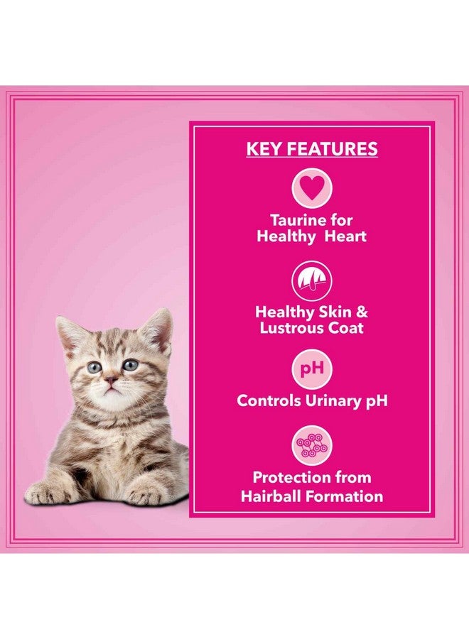 Let's Bite Active Kitten Dry Cat Food 1kg (Buy 1 Get 1 Free), Total 2kg Pack - Image 2