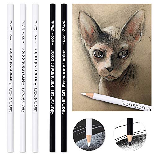 qianshan 5Pcs Black White Color Pencils - Permanent Color Drawing Pencil Oil-based Wooden Colored Pencils for Artist and Beginner Art Projects, 2 Colors of 3 White, 2 Black - Image 2