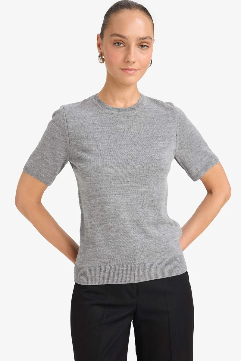 ديفاكتو Regular Fit Crew Neck Short Sleeve Knit Pullover