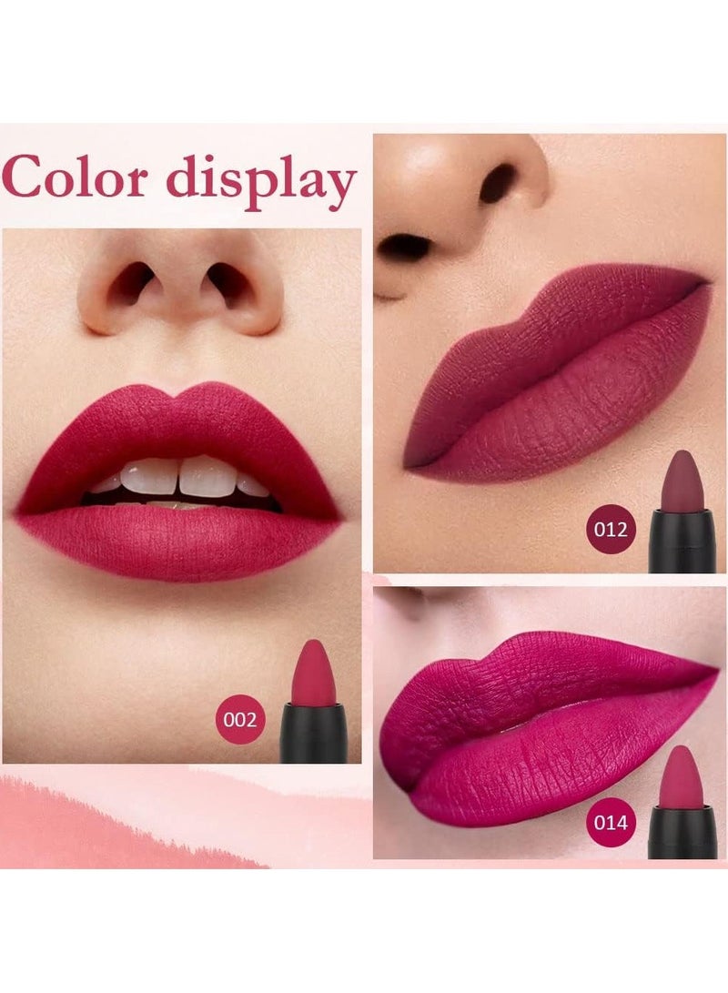 DNM 3Pcs Plum Purple Wine Red Matte Lip Sticks Crayon Lip Liner Lipstick Pencil Set for Women Long Lasting 24 Hour Waterproof Lip Liner and Lipstick Set mate 24 horas originales 02&12&14 - Image 2