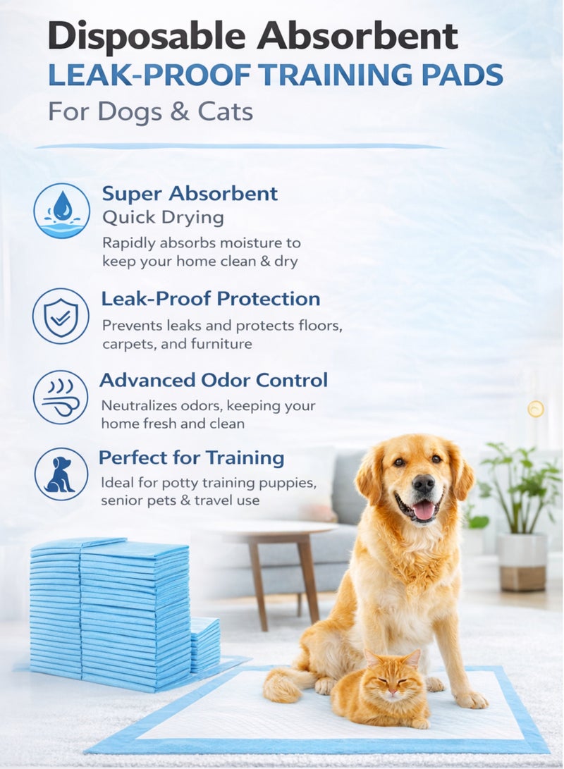 ITALO Disposable Absorbent Pet Pads | Super Absorbent Leak-Proof Training Pads for Dogs & Cats | Odor Control, Quick Dry, Multi-Layer Protection | Puppy Training, Indoor & Travel Use - Image 2