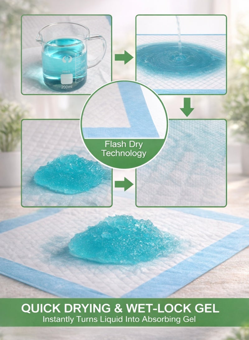 ITALO Disposable Absorbent Pet Pads | Super Absorbent Leak-Proof Training Pads for Dogs & Cats | Odor Control, Quick Dry, Multi-Layer Protection | Puppy Training, Indoor & Travel Use - Image 5