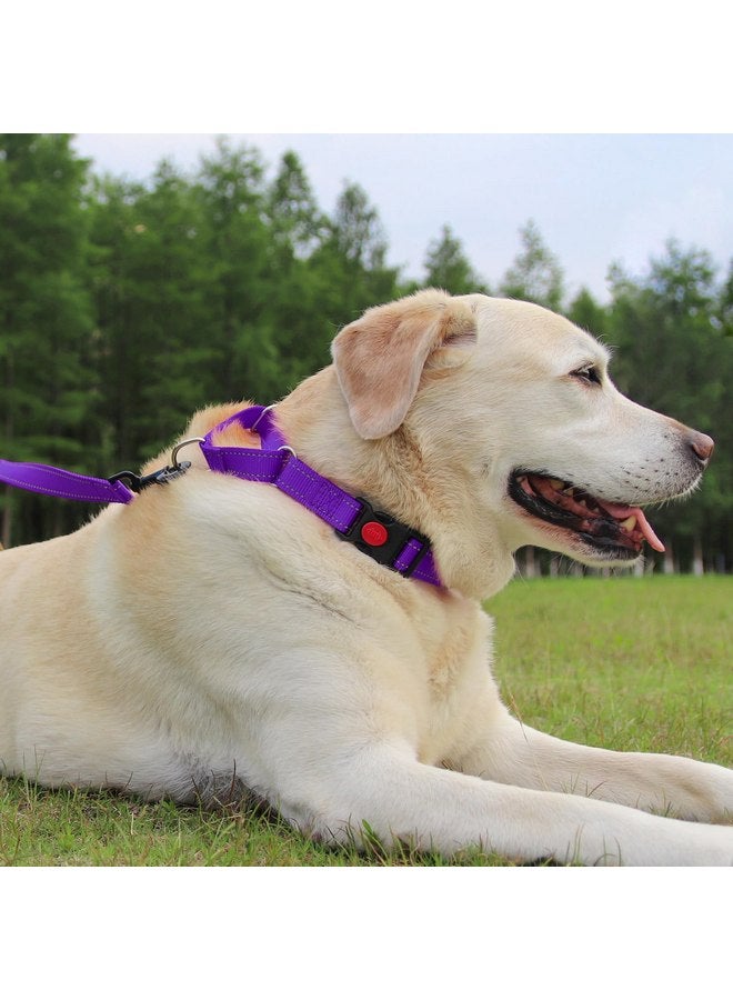 Joytale Martingale Collar for Dogs, Reflective Heavy Duty Dog Collar for Safety, Quick Release Buckle, Adjustable Nylon Collars for Medium Dogs Walking Training, Purple,M - Image 3