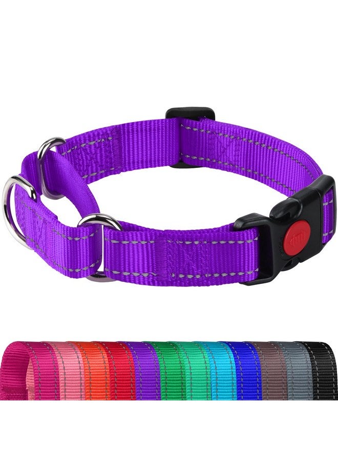 Joytale Martingale Collar for Dogs, Reflective Heavy Duty Dog Collar for Safety, Quick Release Buckle, Adjustable Nylon Collars for Medium Dogs Walking Training, Purple,M - Image 1