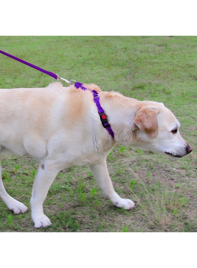 Joytale Martingale Collar for Dogs, Reflective Heavy Duty Dog Collar for Safety, Quick Release Buckle, Adjustable Nylon Collars for Medium Dogs Walking Training, Purple,M - Image 4