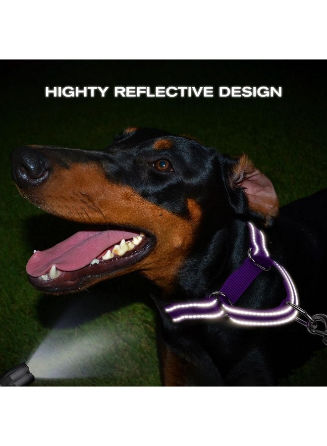 Joytale Martingale Collar for Dogs, Reflective Heavy Duty Dog Collar for Safety, Quick Release Buckle, Adjustable Nylon Collars for Medium Dogs Walking Training, Purple,M - Image 5