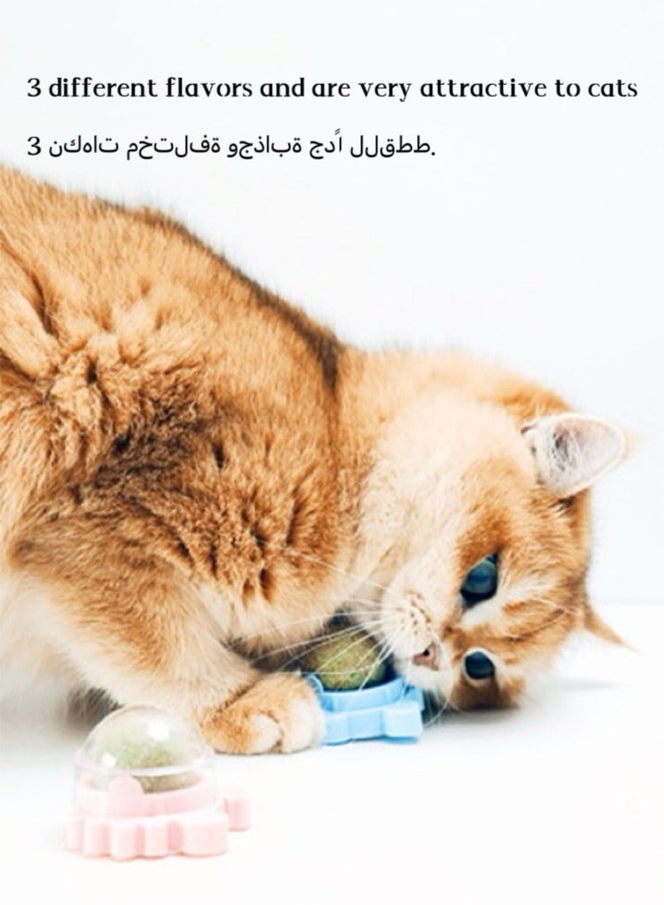 3-Piece Cat Toys Catnip Wall Ball Edible Cat Toy, Cat Chew Toy, Teeth Cleaning Cat Bite Toy, Rotatable Indoor Cat Toy(Style random:crab/turtle/snail) - Image 5