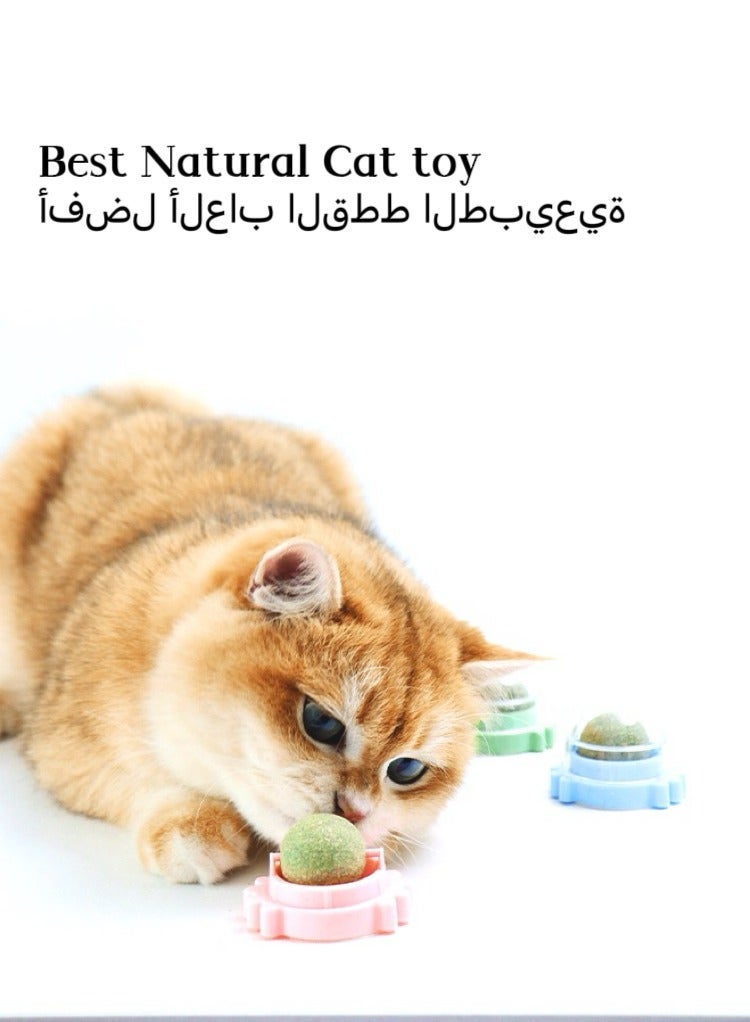 3-Piece Cat Toys Catnip Wall Ball Edible Cat Toy, Cat Chew Toy, Teeth Cleaning Cat Bite Toy, Rotatable Indoor Cat Toy(Style random:crab/turtle/snail) - Image 4