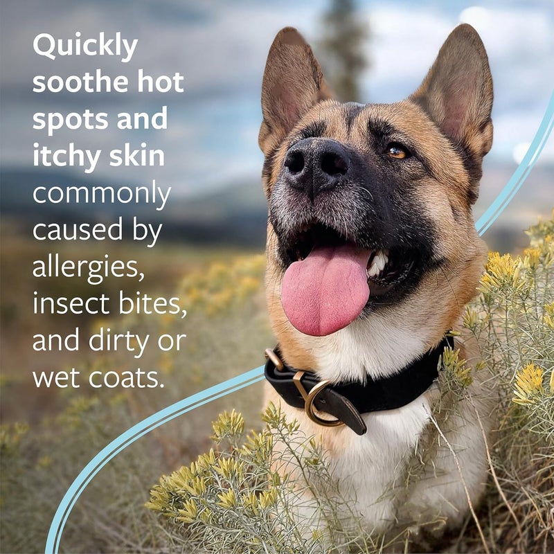 Veterinary Formula Clinical Care Hot Spot & Itch Relief Medicated Shampoo for Dogs & Cats, 473ml - Image 2