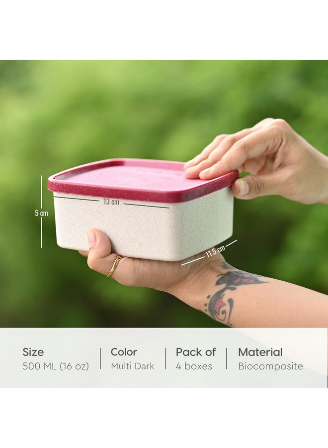 Eha Earth Friendly Storage Containers With Lid | Set of 4 | 500 ml | Made With Rice Husk | Microwave Safe & Fridge Storage Boxes | Multi-Light - Image 2