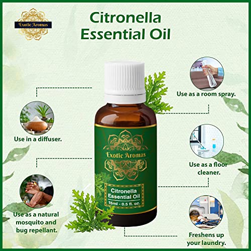 Exotic Aromas Citronella Essential Oil for Aroma Therapy, Hair & Skin (15Ml + 15Ml) Pack of 2 - Image 3
