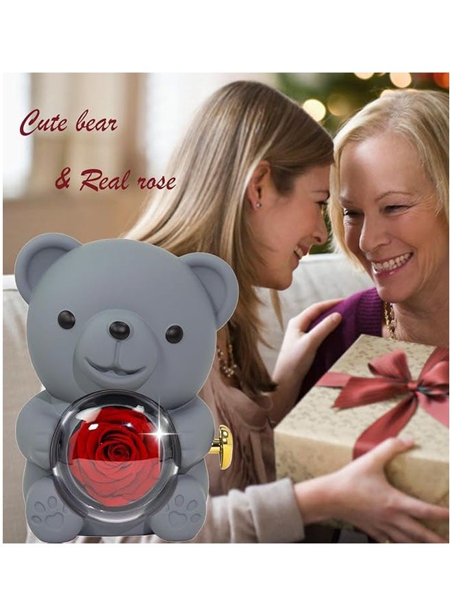 Hugging Bear Design Gift Box With Red Preserved Real Rose - Image 4