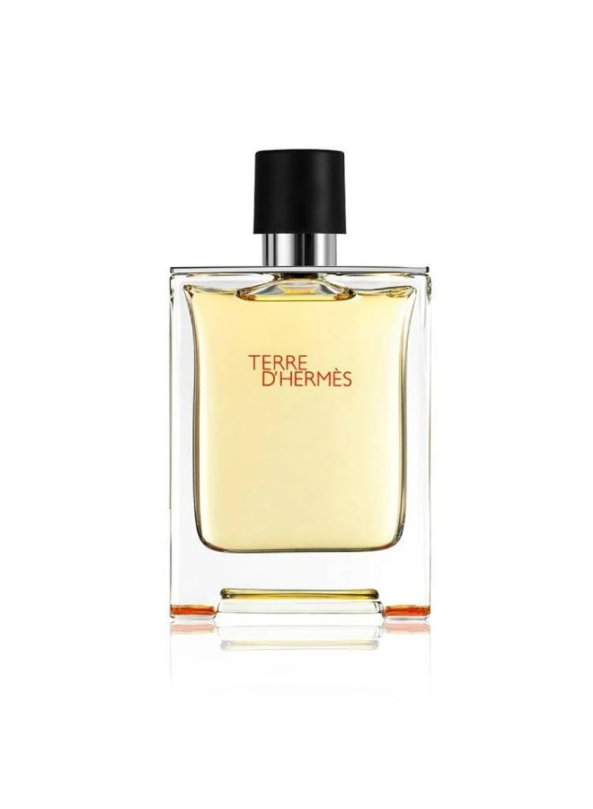HERME'S PARIS Terre D'Hermes EDT 100ml - Image 2