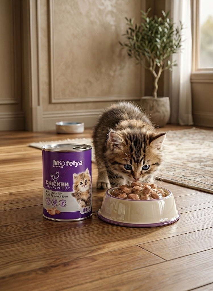 MOFELYA Kitten Food, Wet Chicken with Jelly, 2-Piece Set, 800g - Economical Kitten Food, High in Protein - Image 2